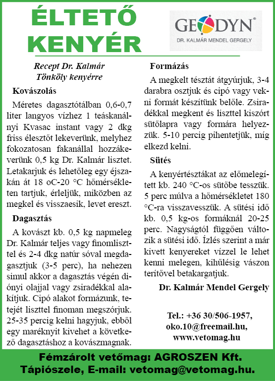 drKalmár