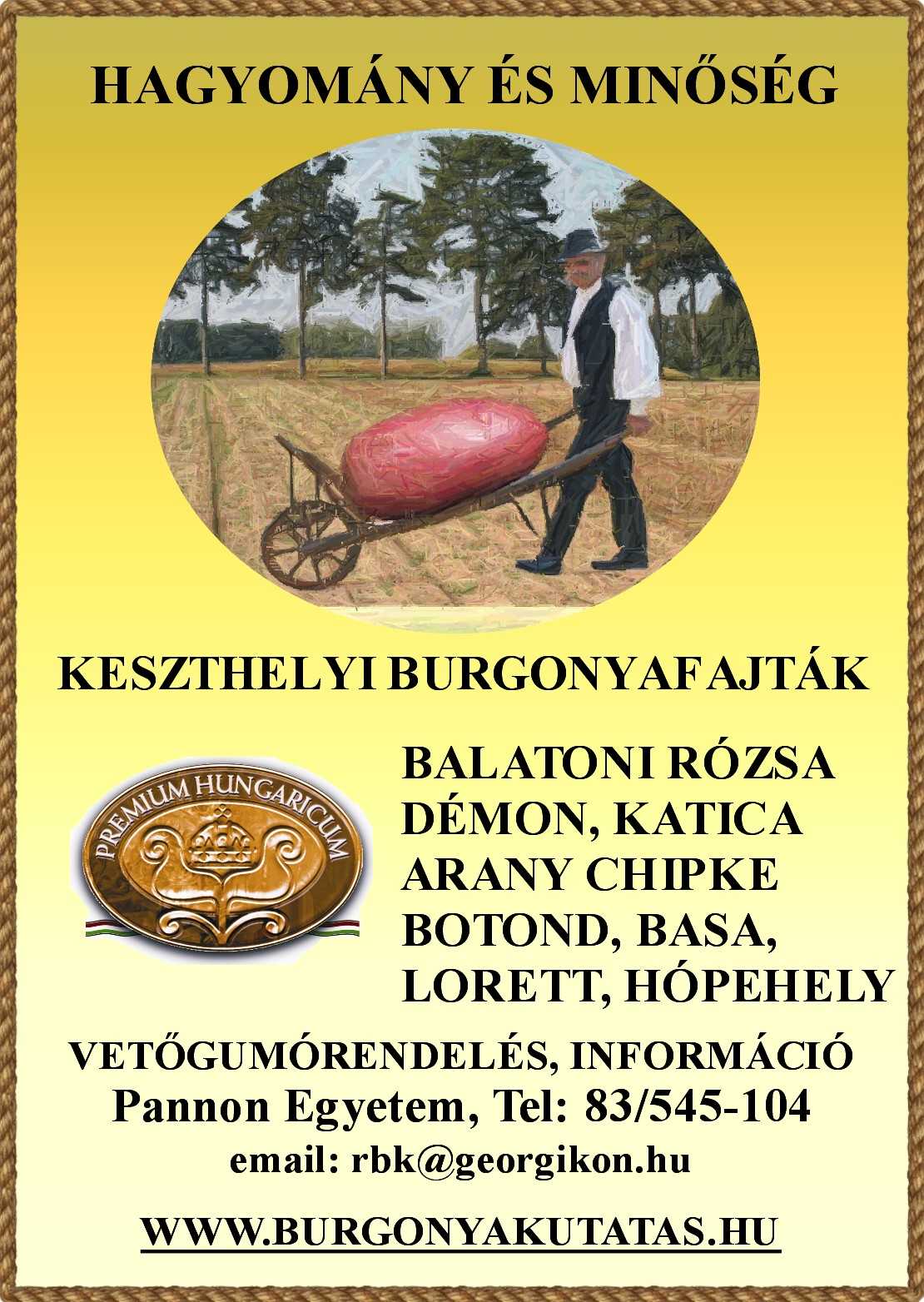 keszthelyi burgonya17